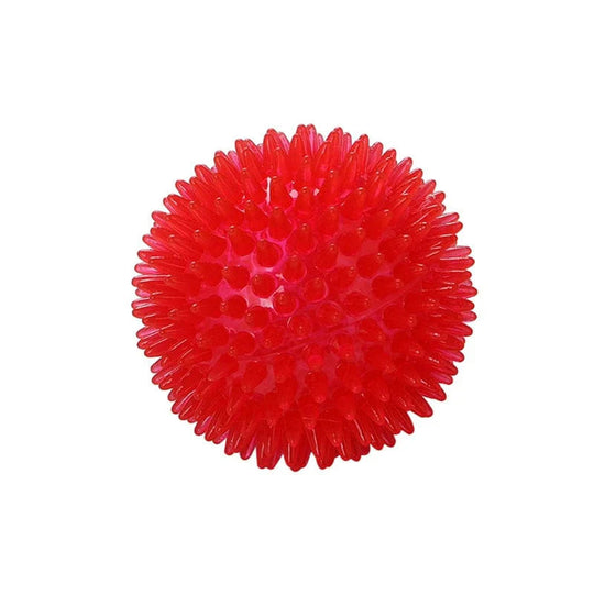 Hundens Lydleketøy Kule for Trening 6