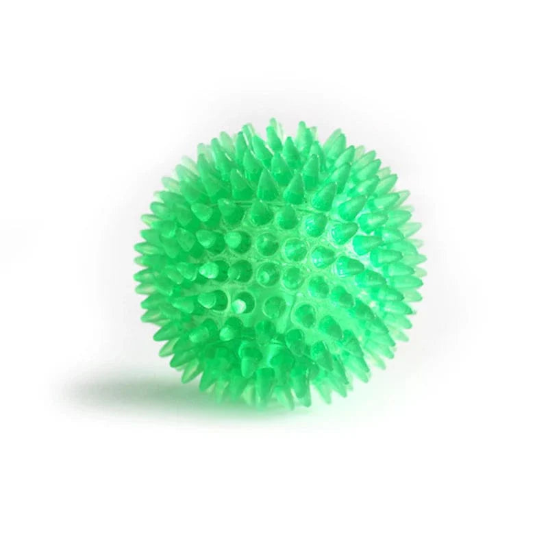Hundens Lydleketøy Kule for Trening 7