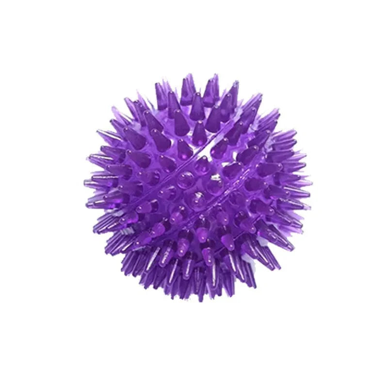 Hundens Lydleketøy Kule for Trening 8