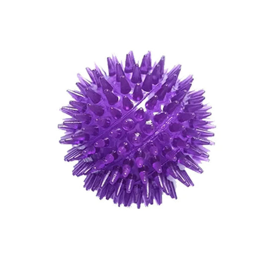 Hundens Lydleketøy Kule for Trening 8