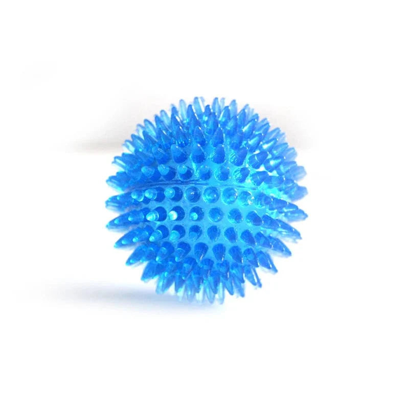Hundens Lydleketøy Kule for Trening 9