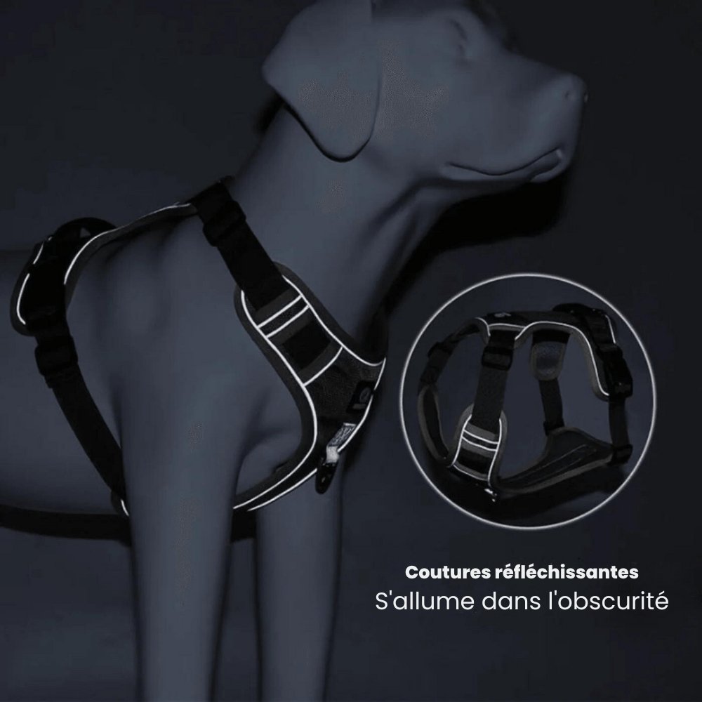 Hundesele for komfortable turer 6