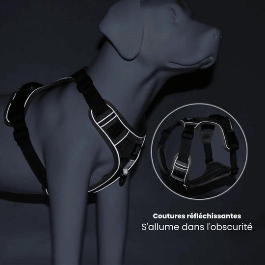 Hundesele for komfortable turer 6