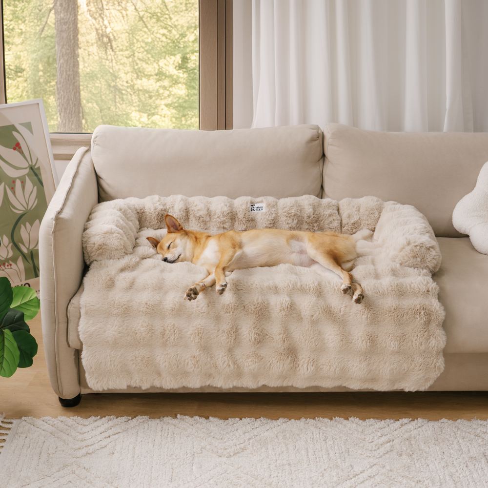Hundeseng for komfort og stil 2