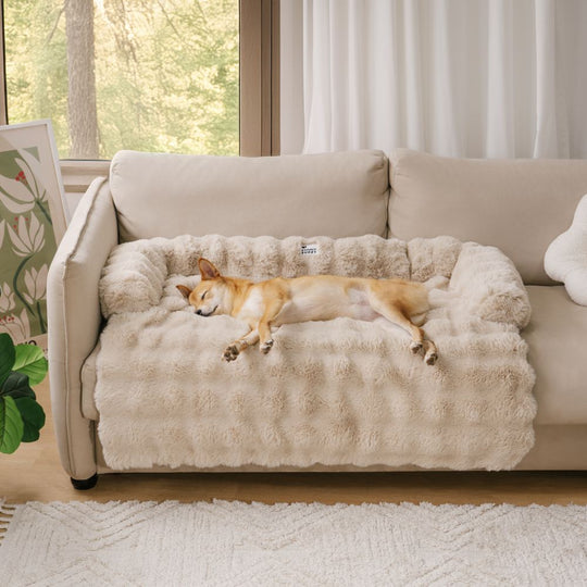 Hundeseng for komfort og stil 2