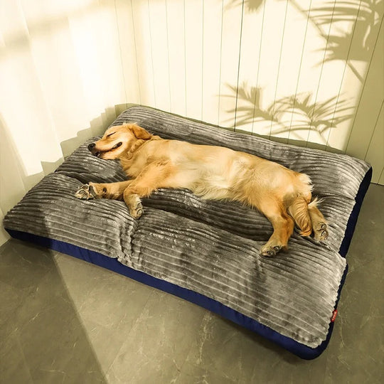Hundeseng med Hevede Kanter for Optimal Komfort og Støtte 0