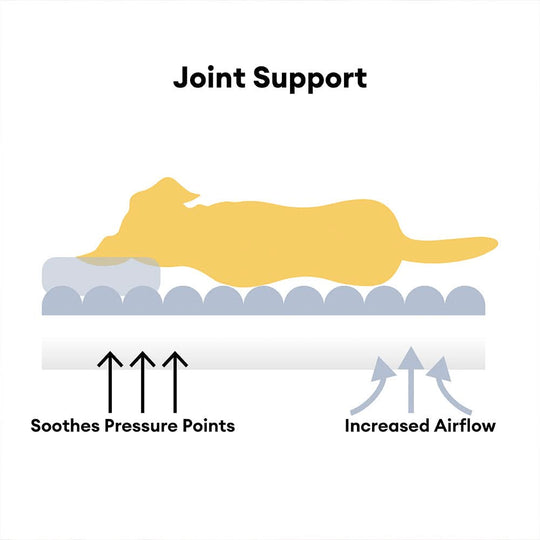 Hundesofa for kjæledyr med hevet kant 3