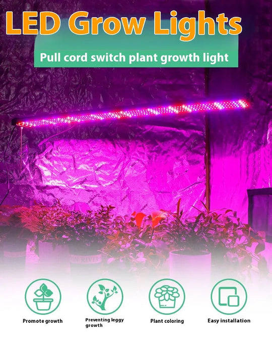 Innendørs LED-Plantelampe Fullspektrum for Optimal Vekst 2