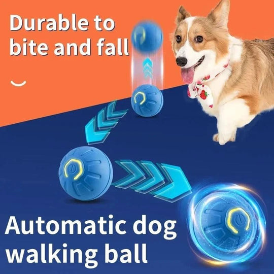 Interaktiv Hundeball med Automatisk Bevegelse for Aktive Hunder 2