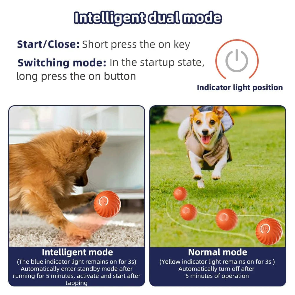 Interaktiv Hundelekeball Automatisk Bevegelig 3