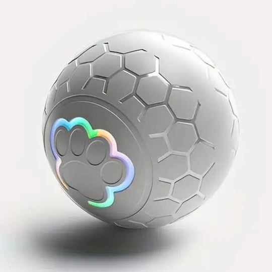 Interaktiv Hundelekeball Automatisk Spretthandling 6