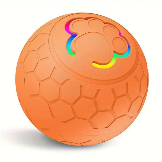 Interaktiv Hundelekeball Automatisk Spretthandling 9
