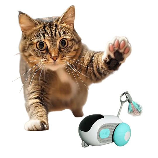Interaktiv Kattelek for Uavhengig Lek 0