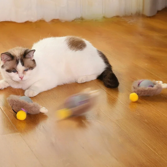 Interaktiv Lekeball for Katter 2