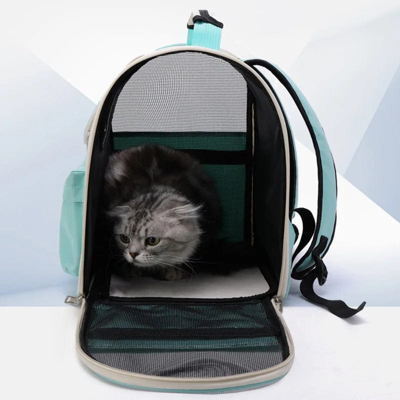 Katt Ryggsekk Vindbestandig Utendørs Design 2