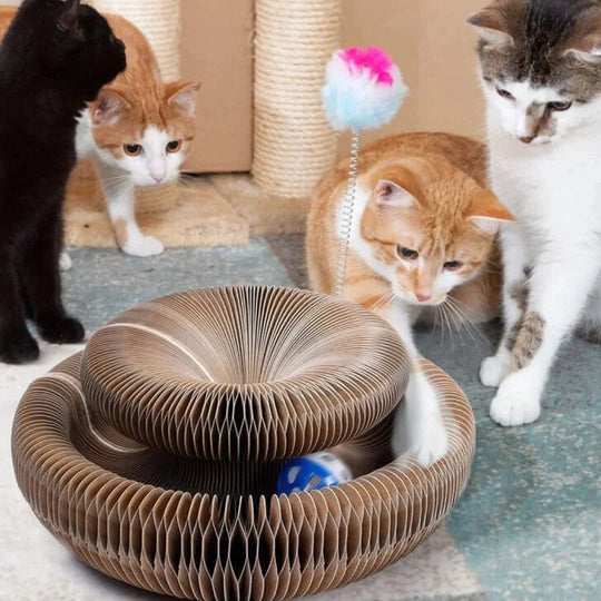 Kattens Aktivitetsleke Interaktiv 1