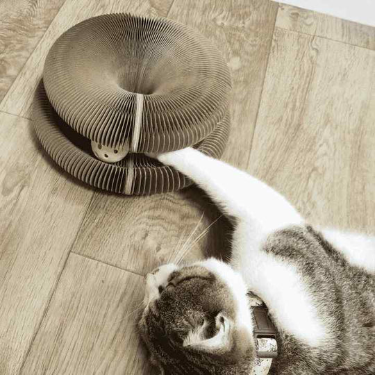 Kattens Aktivitetsleke Interaktiv 2