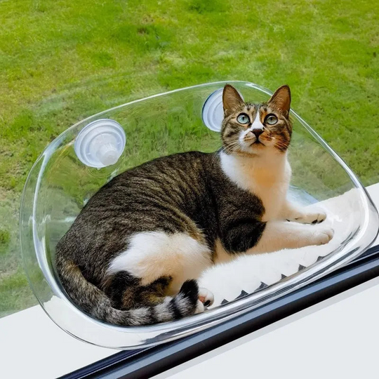 Kattens Hengekøye for Vindusutsikt 0