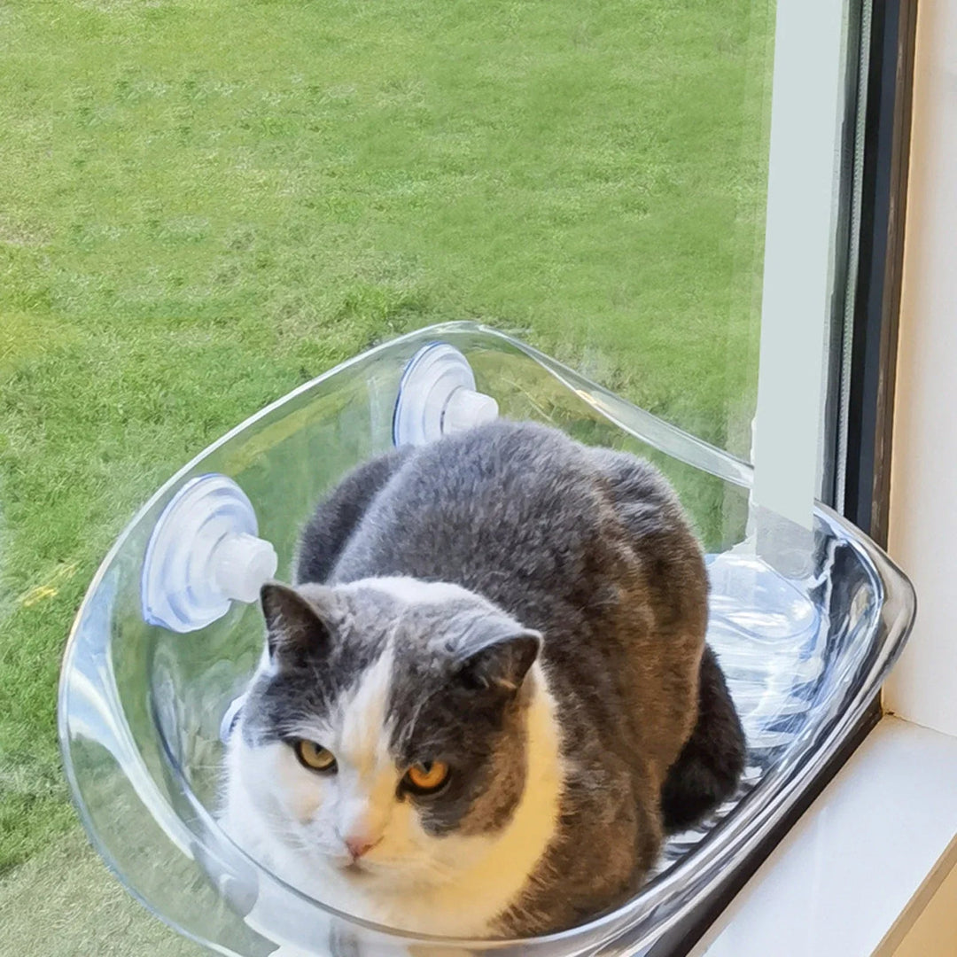 Kattens Hengekøye for Vindusutsikt 3
