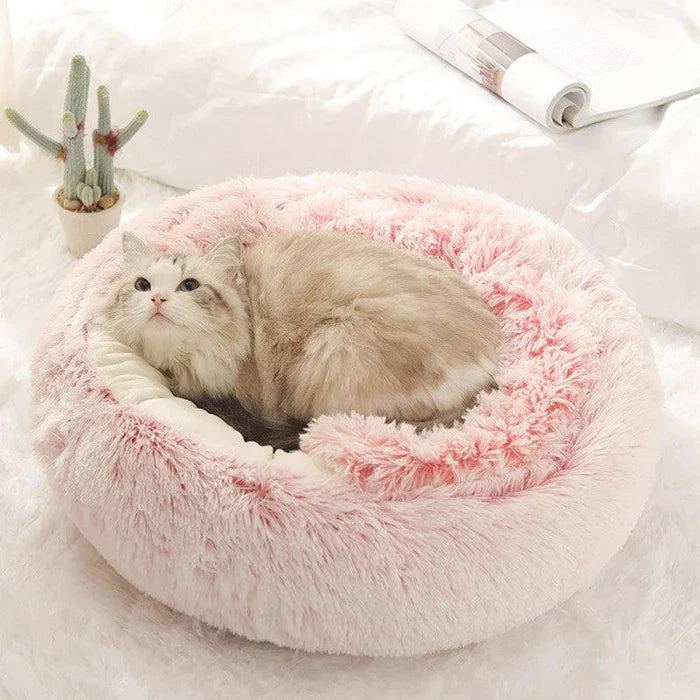 Kattens Soveplass Semi-Lukket Design Komfortabel Soveplass 2