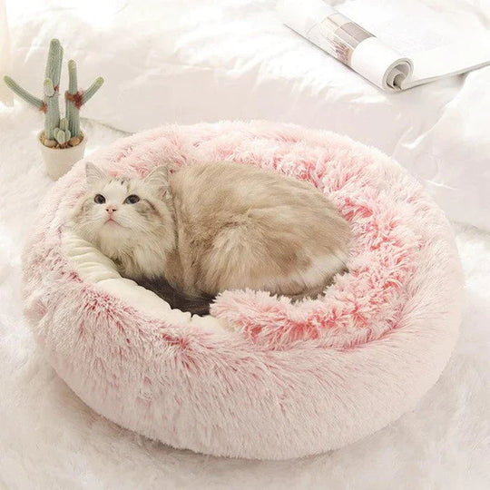 Kattens Soveplass Semi-Lukket Design Komfortabel Soveplass 2
