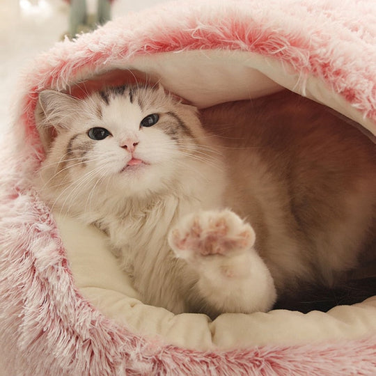 Kattens Soveplass Semi-Lukket Design Komfortabel Soveplass 3