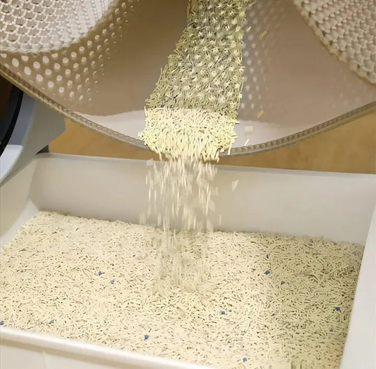 Kattesandmatte Stor Sklisikker 2