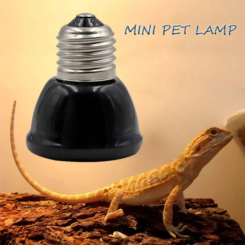 Keramisk Varme Lampe for Kjæledyr 1