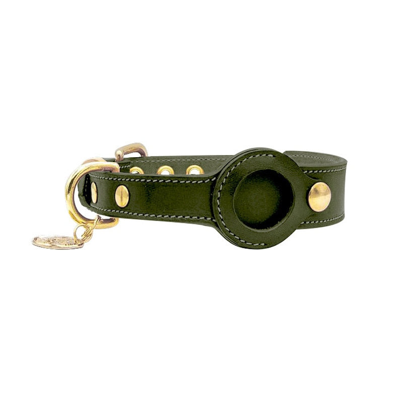 Kjæledyrhalsbånd med AirTag Holder 1