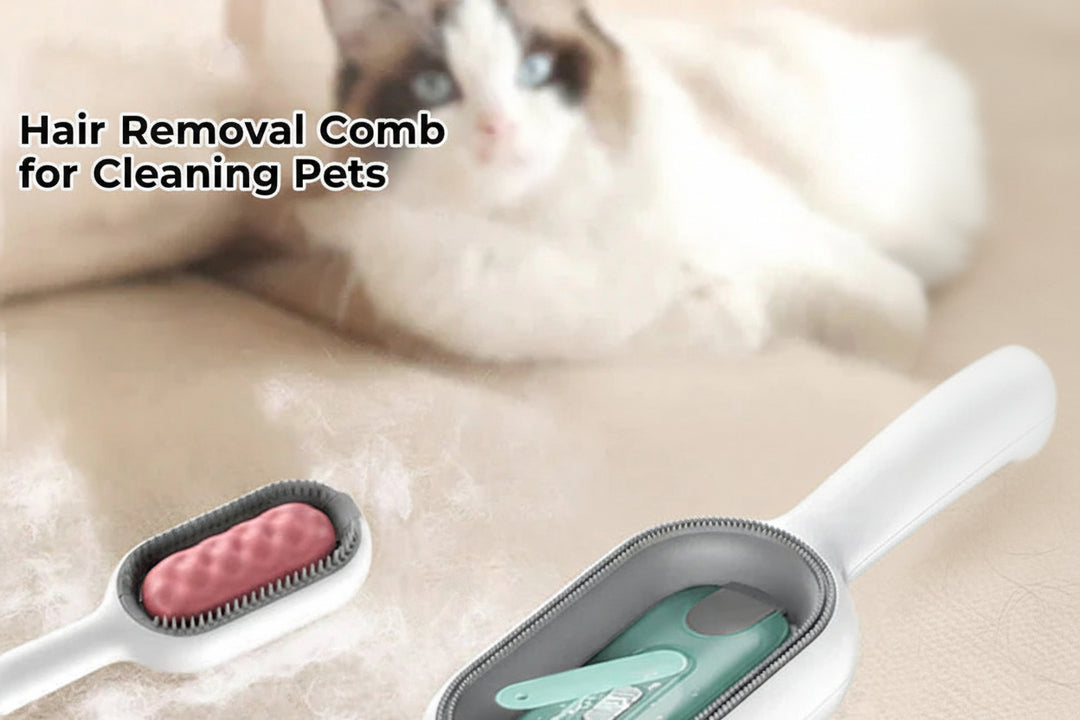 Kjæledyrkam for Effektiv Grooming 3