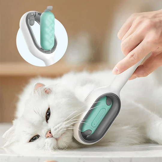 Kjæledyrkam for Effektiv Grooming 4