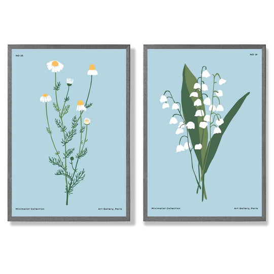 Kunsttrykk Sett med 2 Illustrasjoner av Villblomster 4