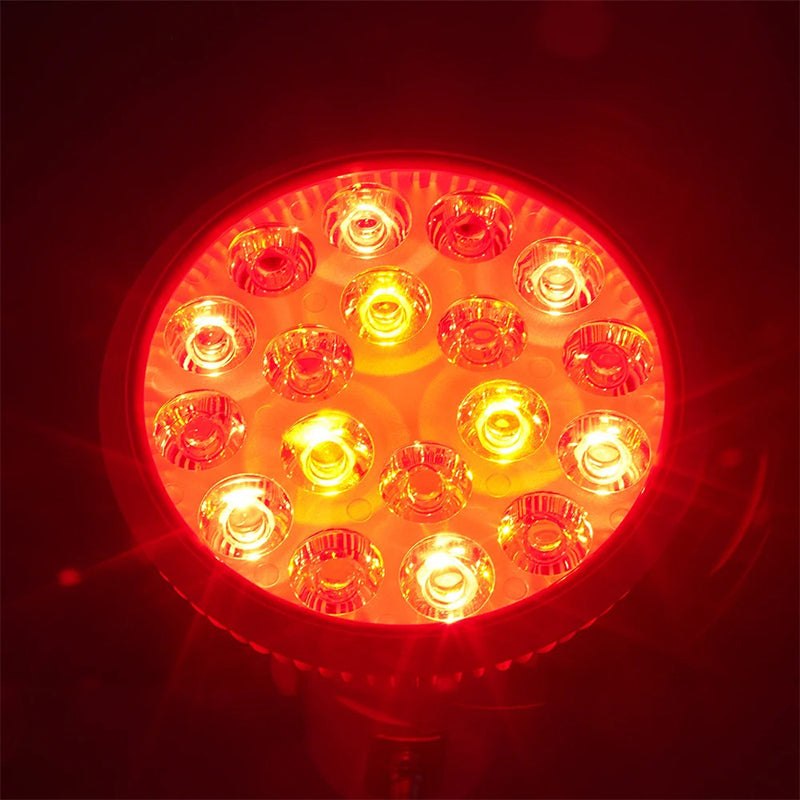 LED Terapilampe med Klemme 1