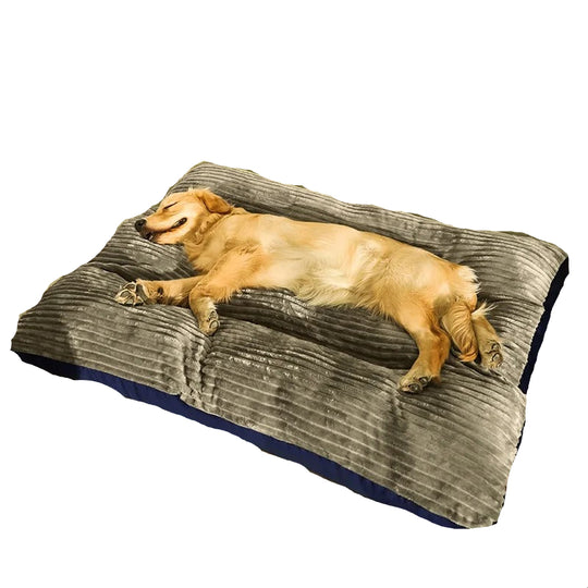 Ortopedisk hundeseng for vinteren 0