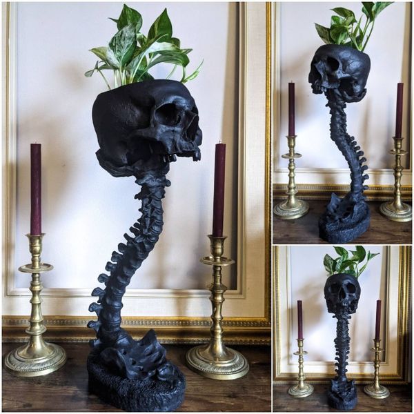 Planter med Hodeskalle og Ryggrad - Gotisk Design 0