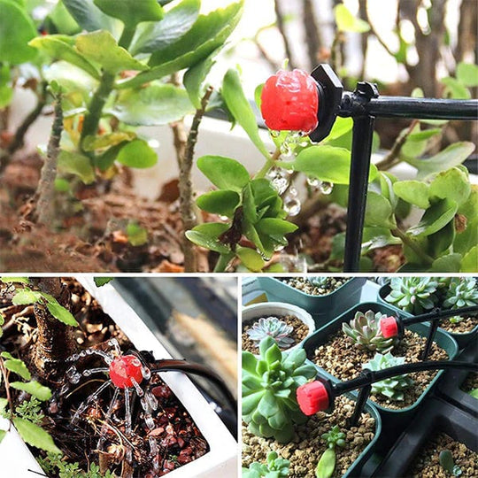 Plantevanningssystem Justerbare Dryppere for Optimal Plantevekst 1