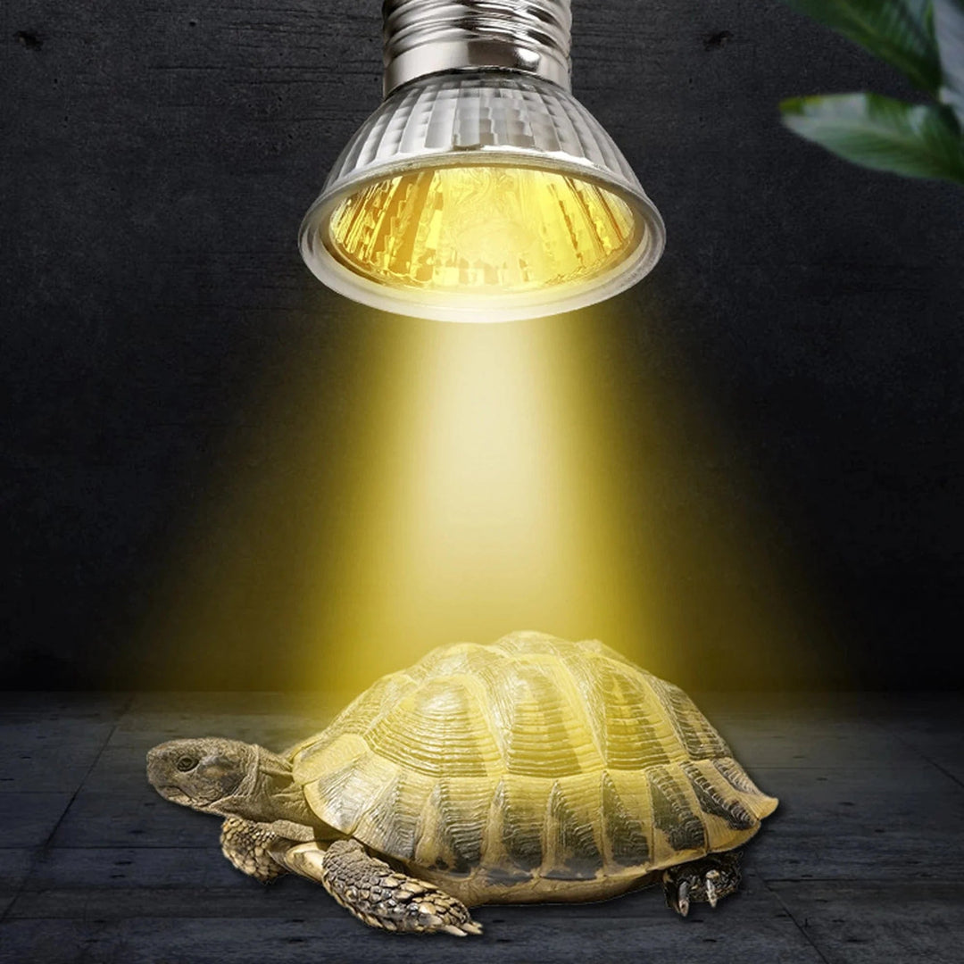 Reptil Lampe UVA+UVB for Kjæledyr 5