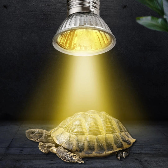 Reptil Lampe UVA+UVB for Kjæledyr 5