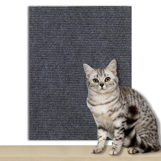 Selvklebende Beskyttelsesplate for Katter Diskré Design 8