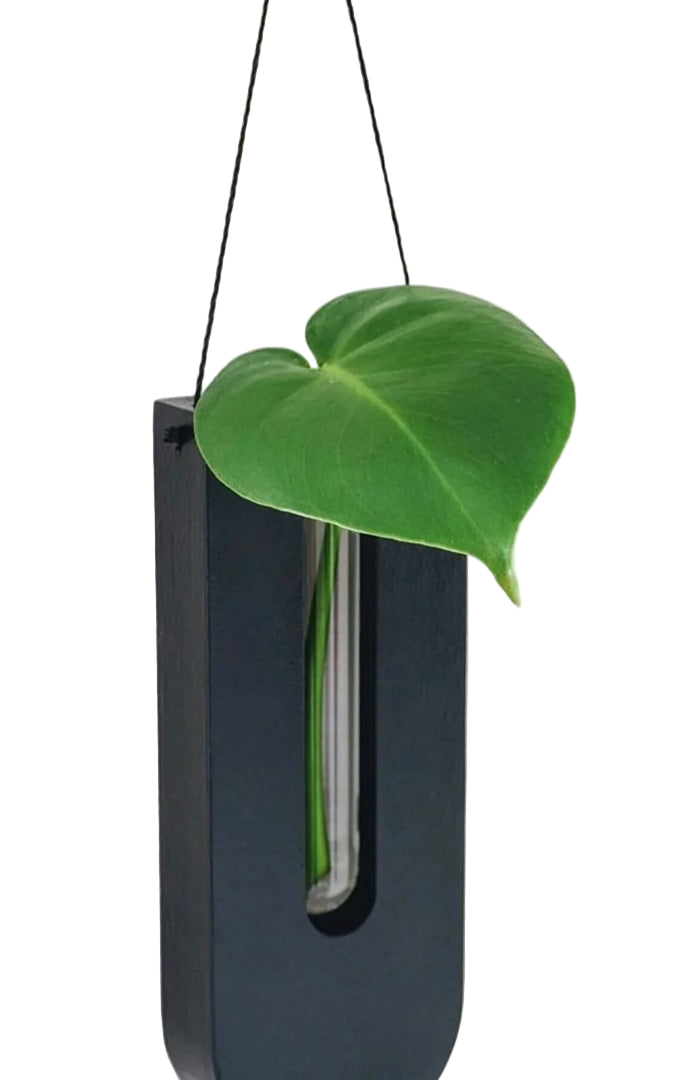 Sett med rustikke treveggblomster for husplanter 3