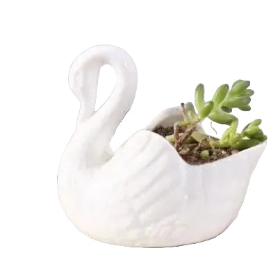 Swan Minimal Keramisk Potte 0