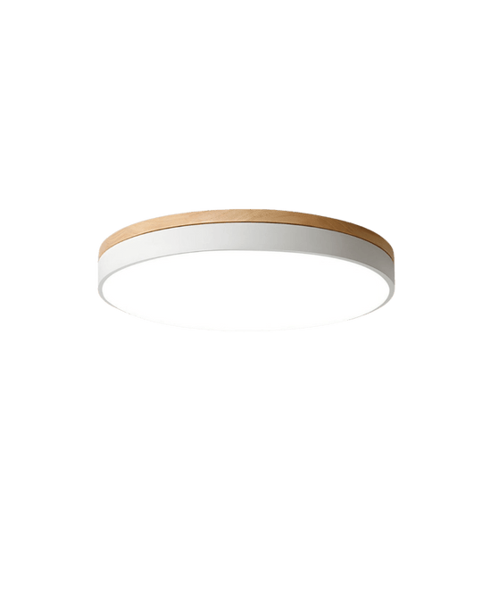 Taklampe med Naturlig Tre og Grønn Detalj 10