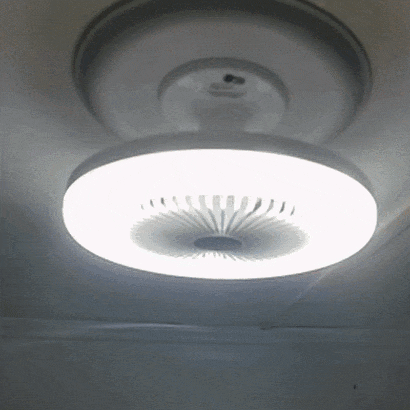 Takvifte med LED-lys og fjernkontroll 1