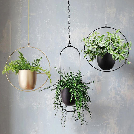 Veggplantehenger Justerbar Kjede Minimalistisk Design 5