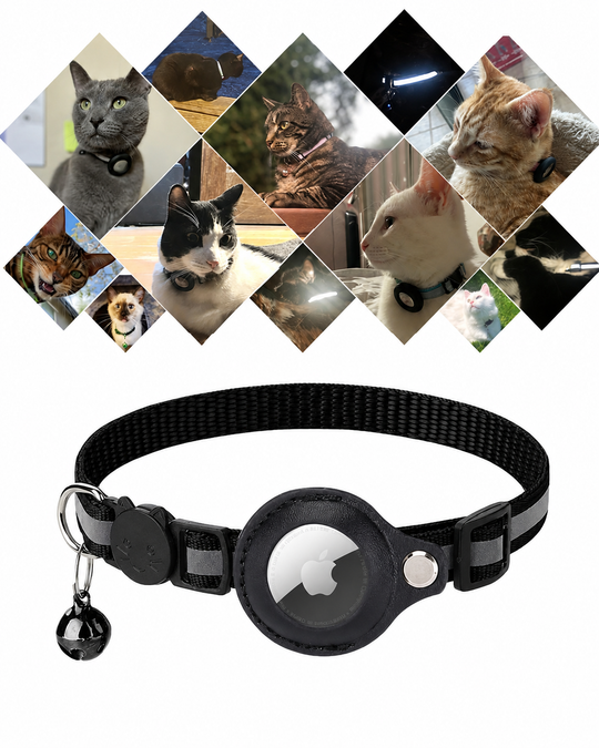 Kattens GPS Tracker Halsbånd for Sikkerhet