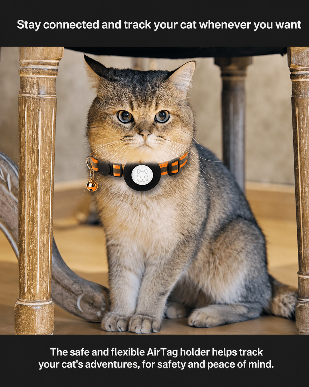 Kattens GPS Tracker Halsbånd for Sikkerhet