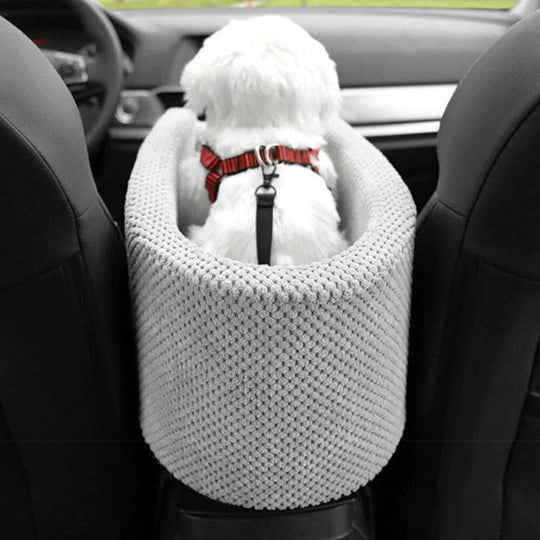 Bilsikkerhetssete for kjæledyr