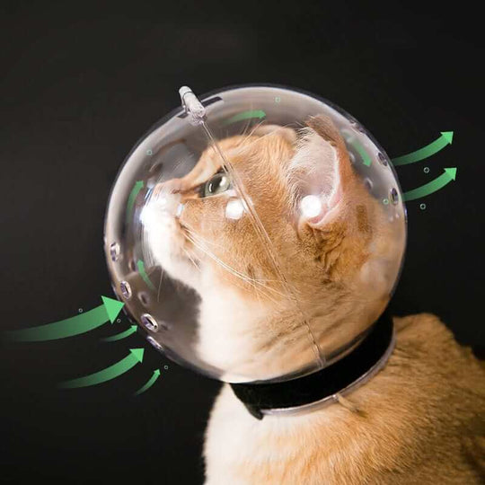 Cat Anti-Bite pleiehjelm
