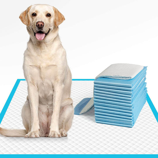 Tisseputer for hunder
