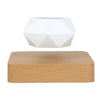Leviterende Air Bonsai Pot